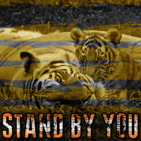 Stand By You - Full Cover cover